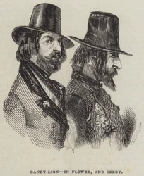 Dandy-Lion, in Flower, and Seedy